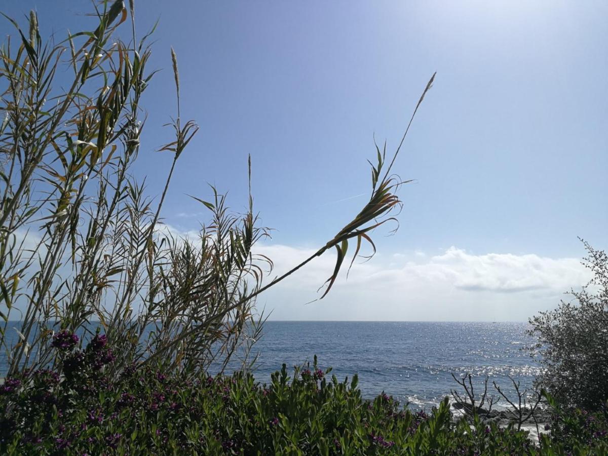 Casa Fiorenza Parcheggio Privato Sanremo Bagian luar foto